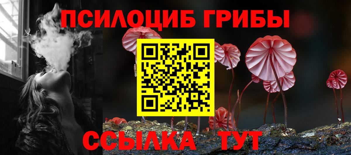 Псилоцибиновые грибы мицелий  Галлюциногенные грибы прущие грибы  Кыштым  Вход с VPN 