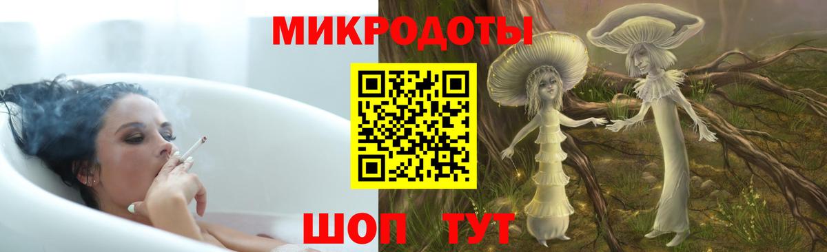 Псилоцибиновые грибы Cubensis Кыштым